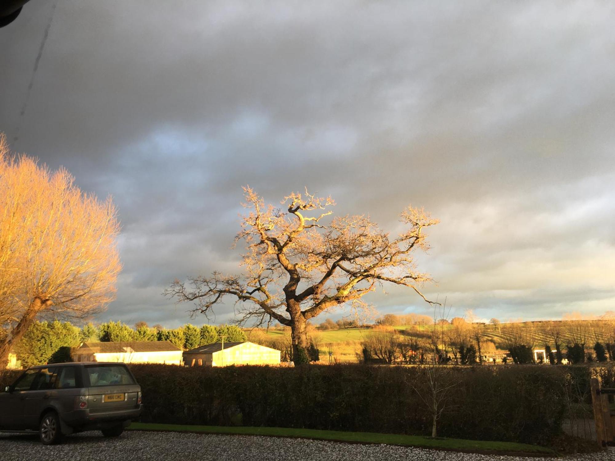 Oak Barn In The Cotswolds Near Moreton In Marsh Shipston-on-Stour Екстер'єр фото